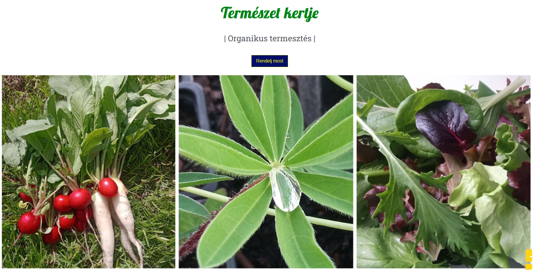 Legújabb munkánk – Természet kertje